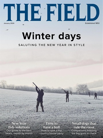 The Field issue January 2024