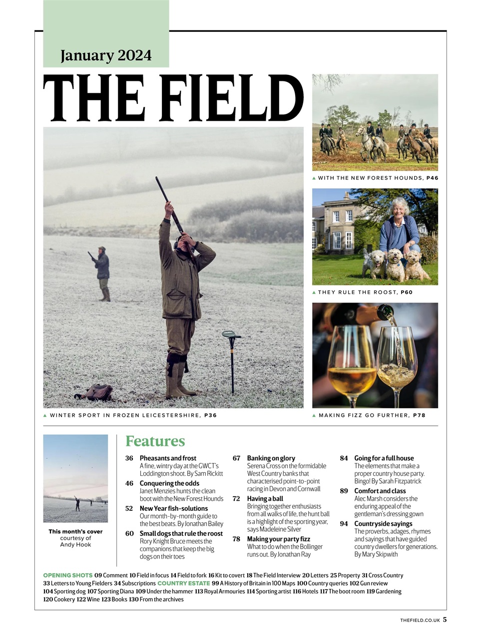 The Field Preview Pages