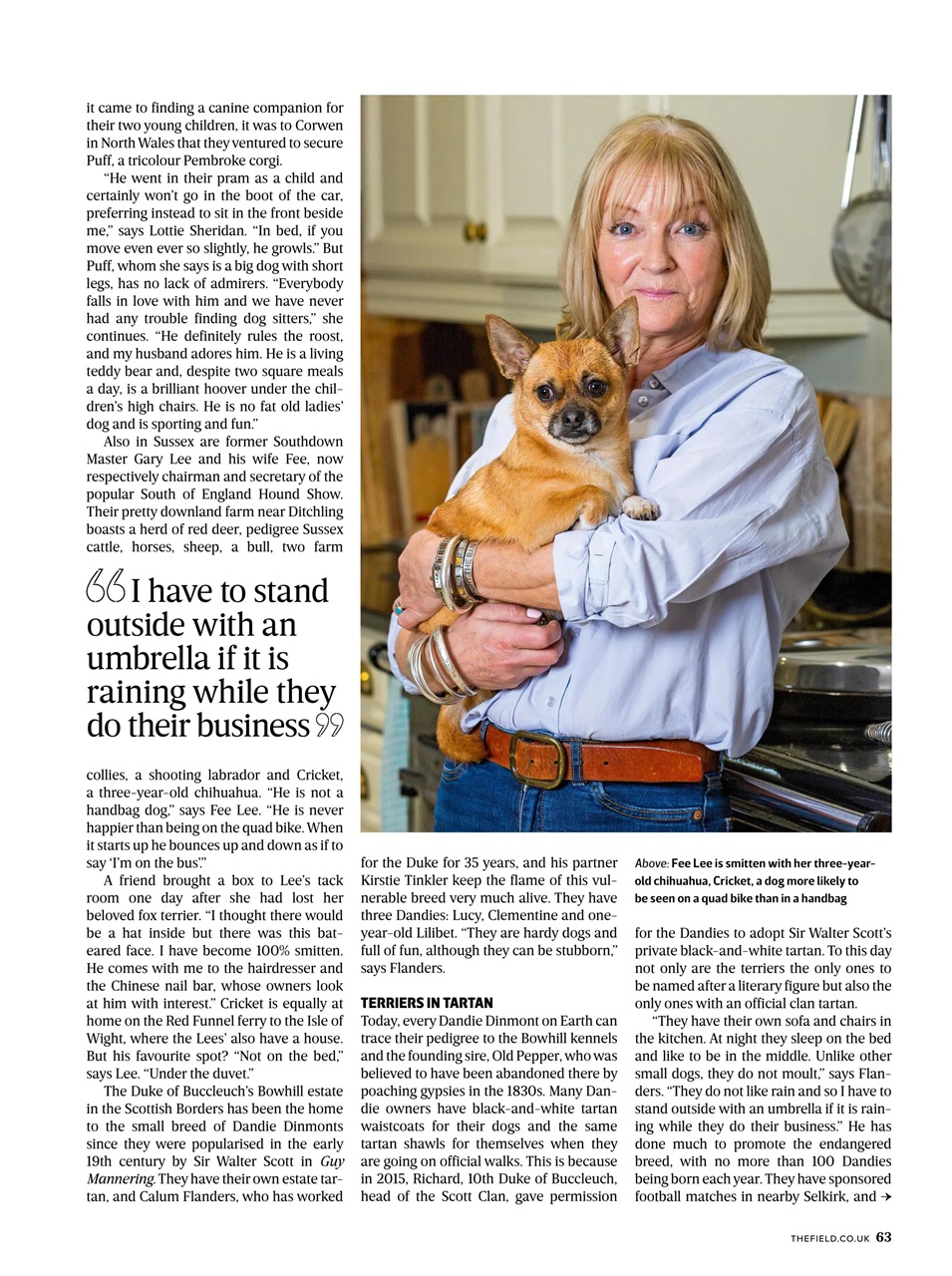 The Field Preview Pages