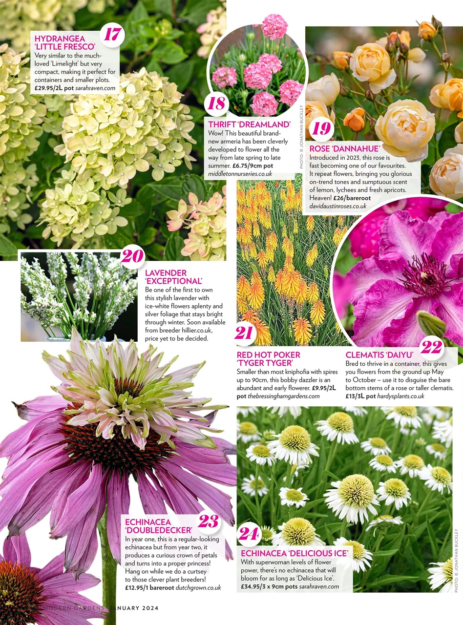 Modern Gardens Preview Pages