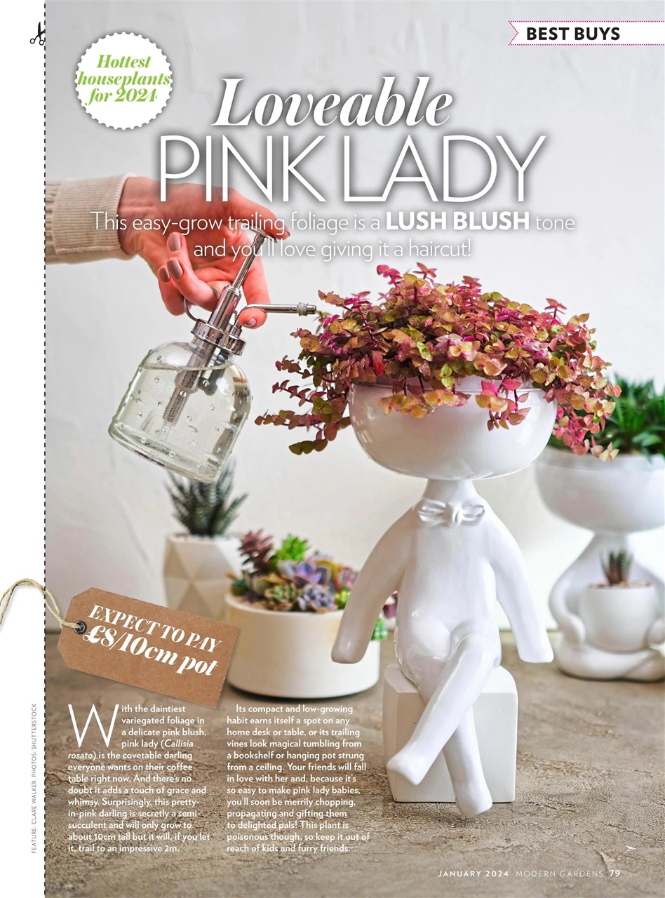 Modern Gardens Preview Pages