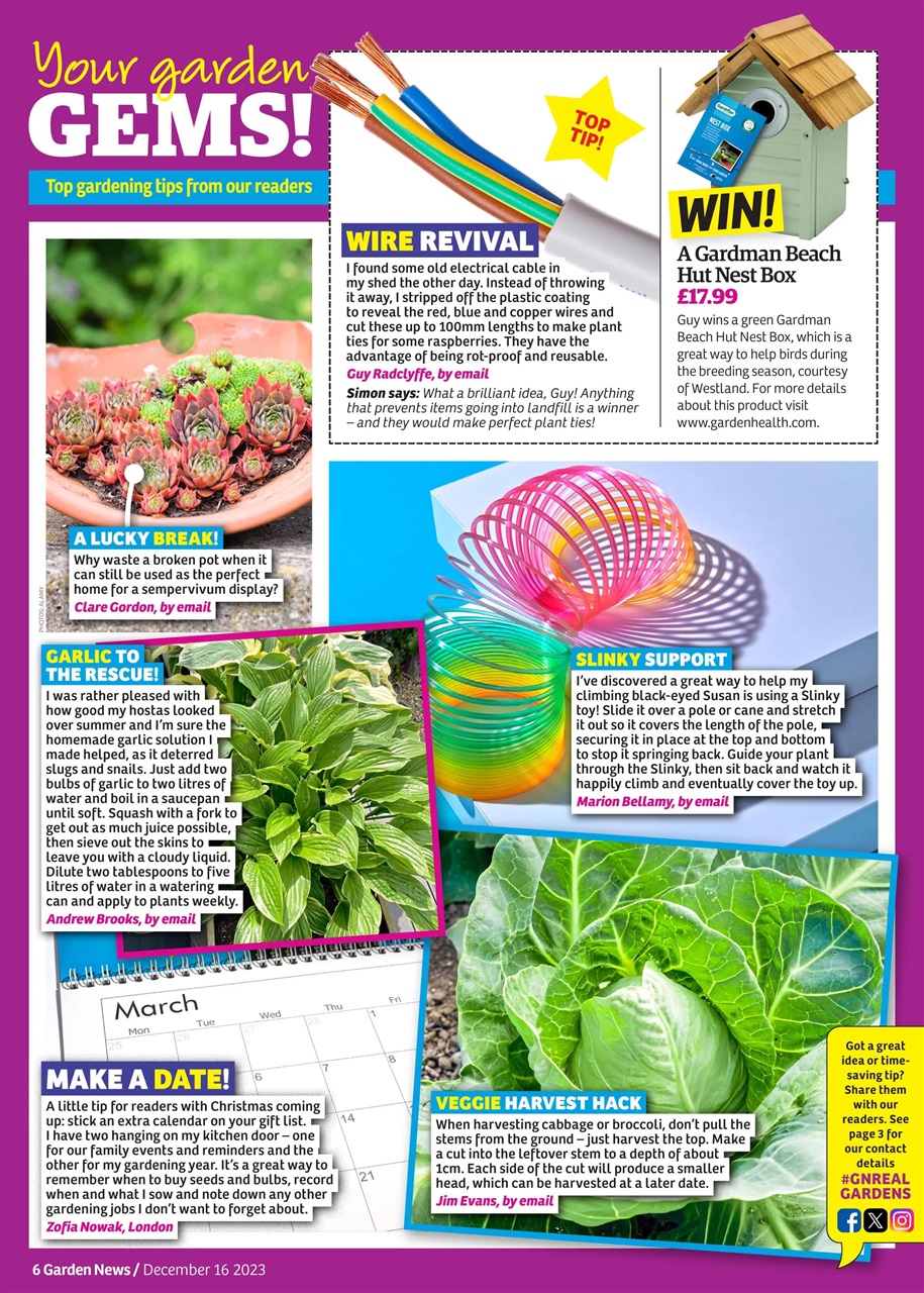 Garden News Preview Pages