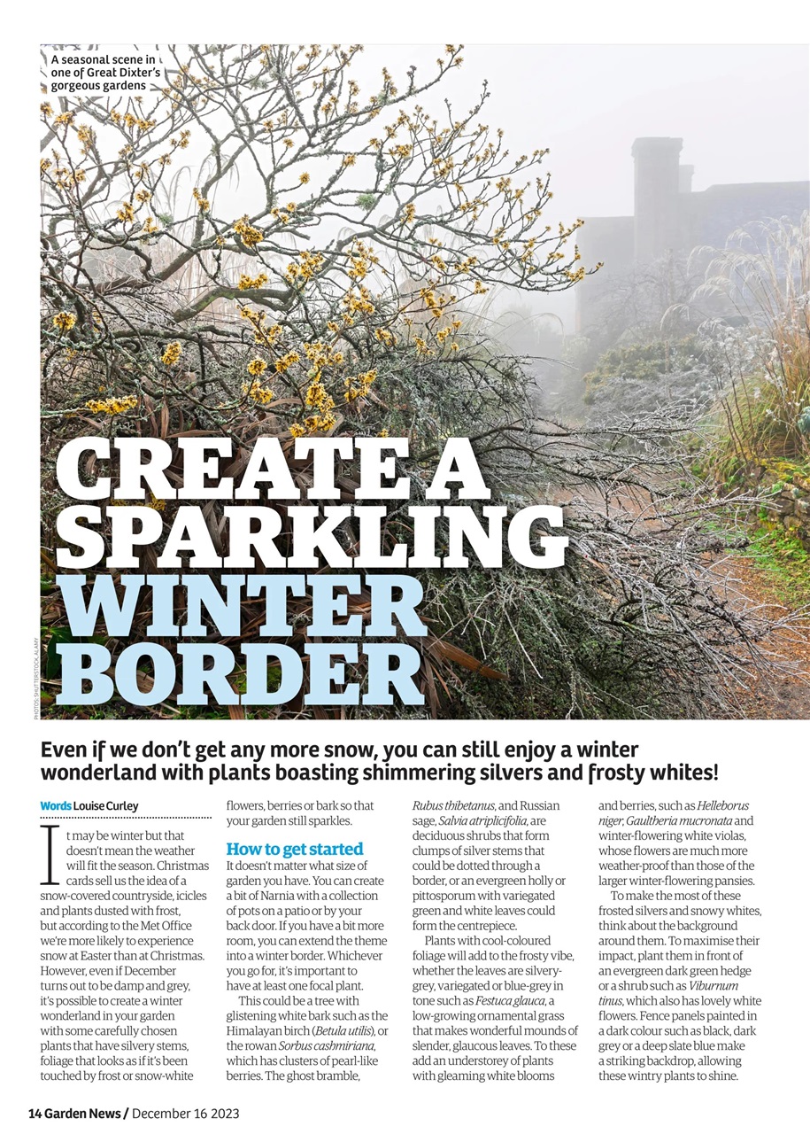 Garden News Preview Pages