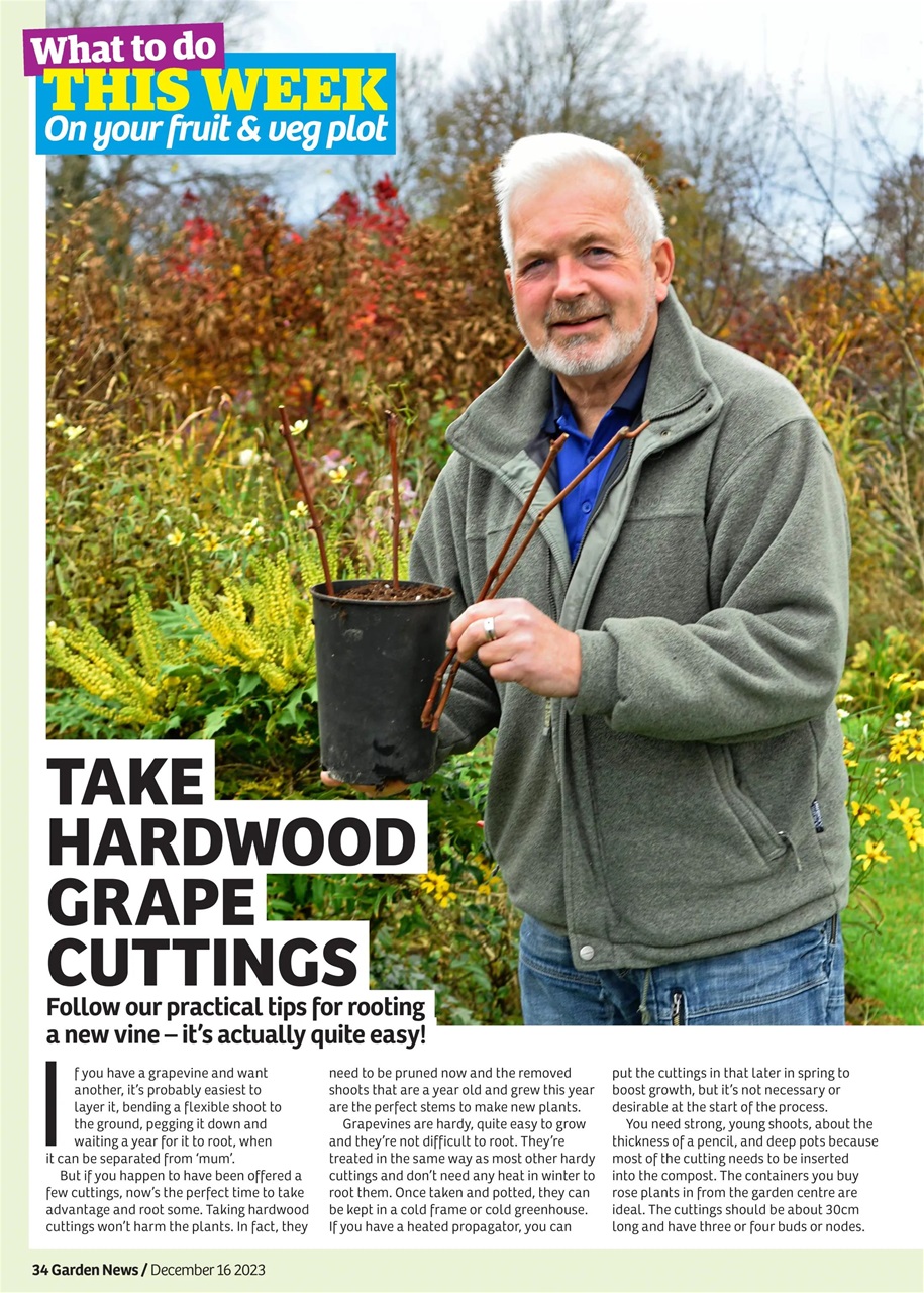 Garden News Preview Pages