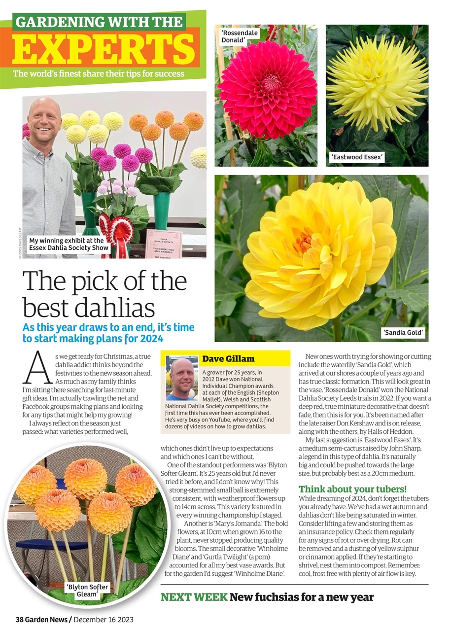 Garden News Preview Pages