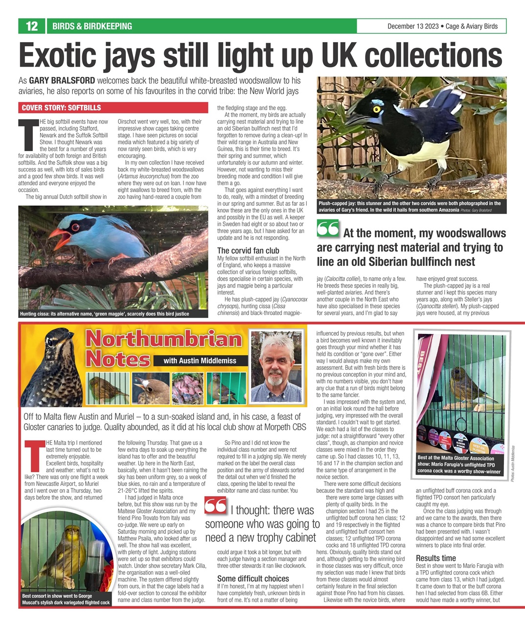 Cage & Aviary Birds Preview Pages