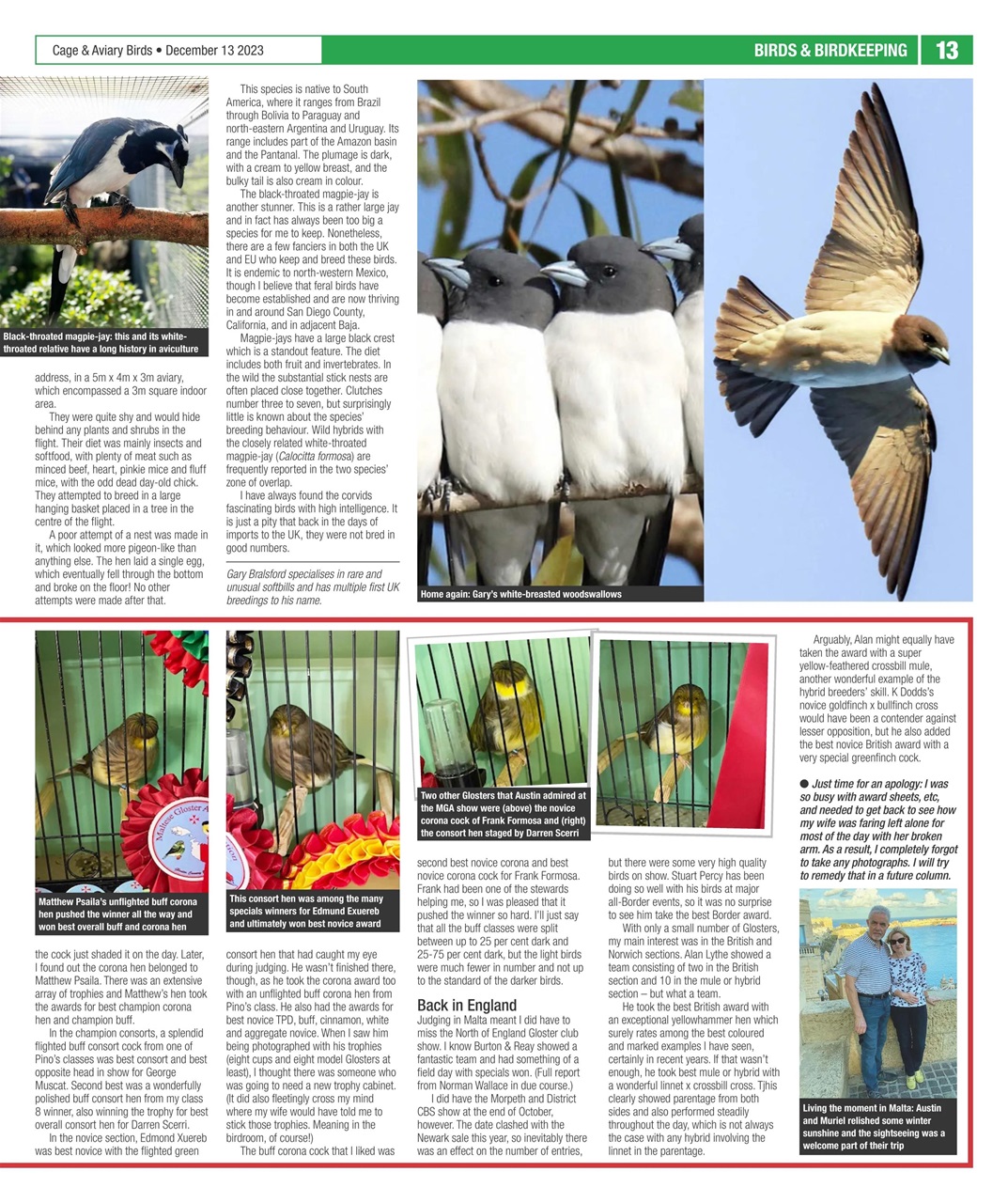 Cage & Aviary Birds Preview Pages