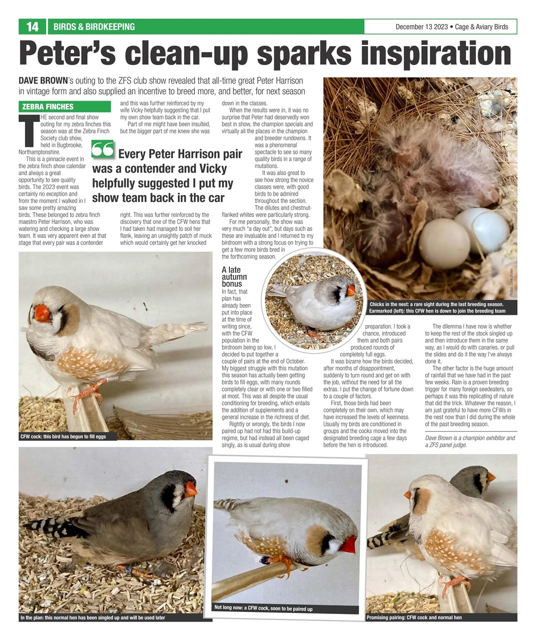 Cage & Aviary Birds Preview Pages