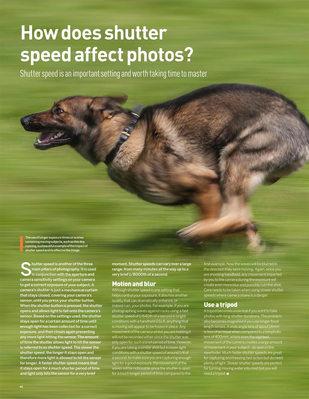 Digital Camera User Preview Pages