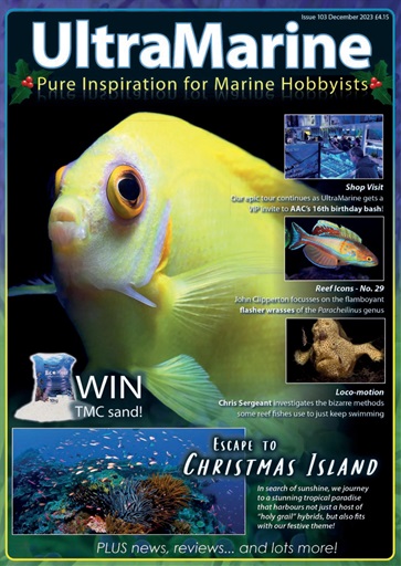 UltraMarine Magazine issue 