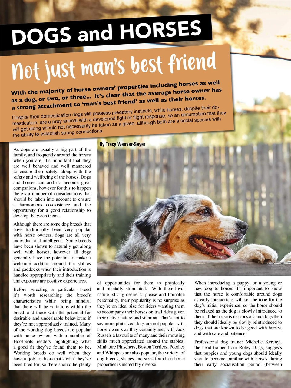 Hoofbeats Preview Pages