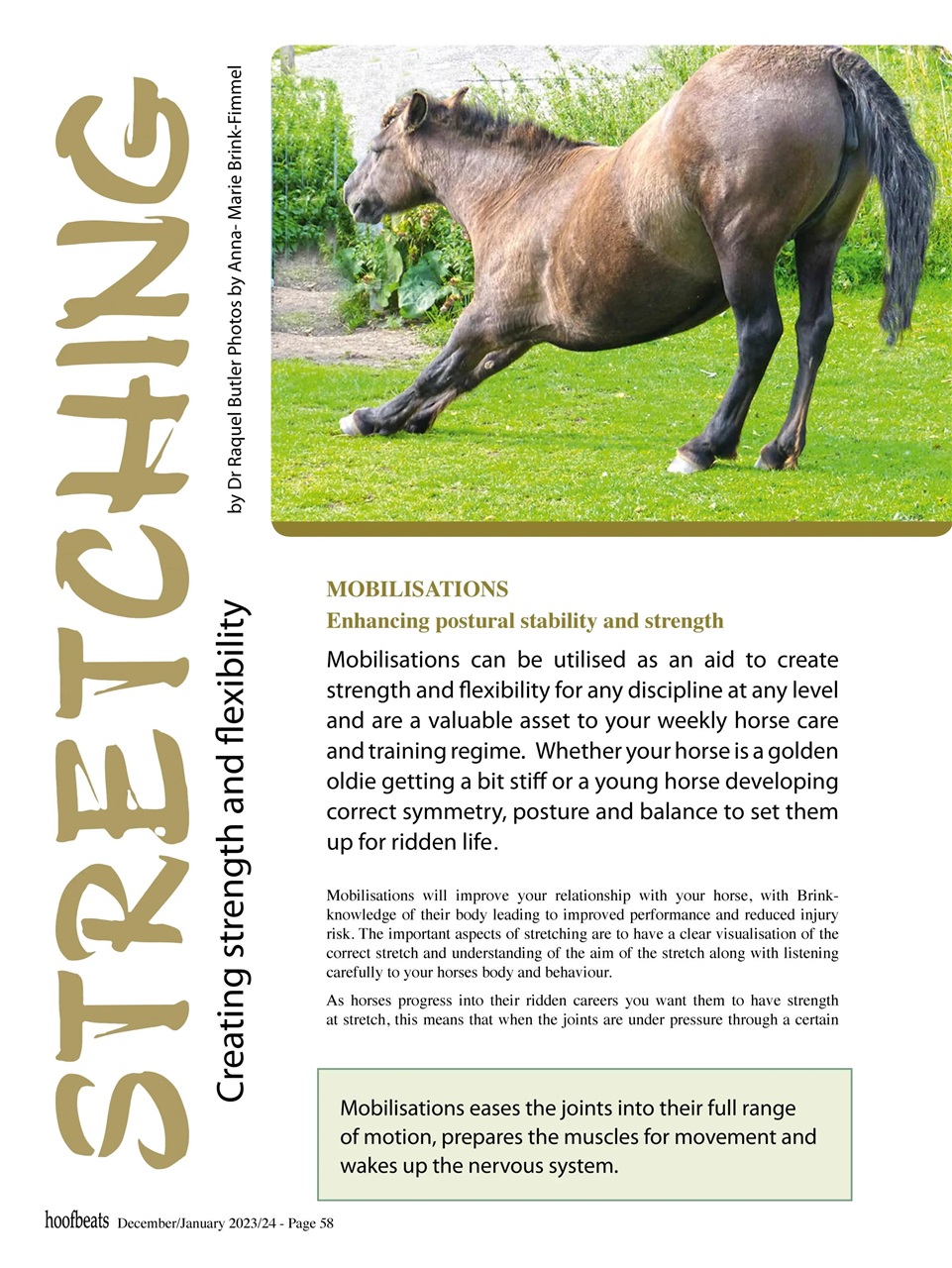 Hoofbeats Preview Pages