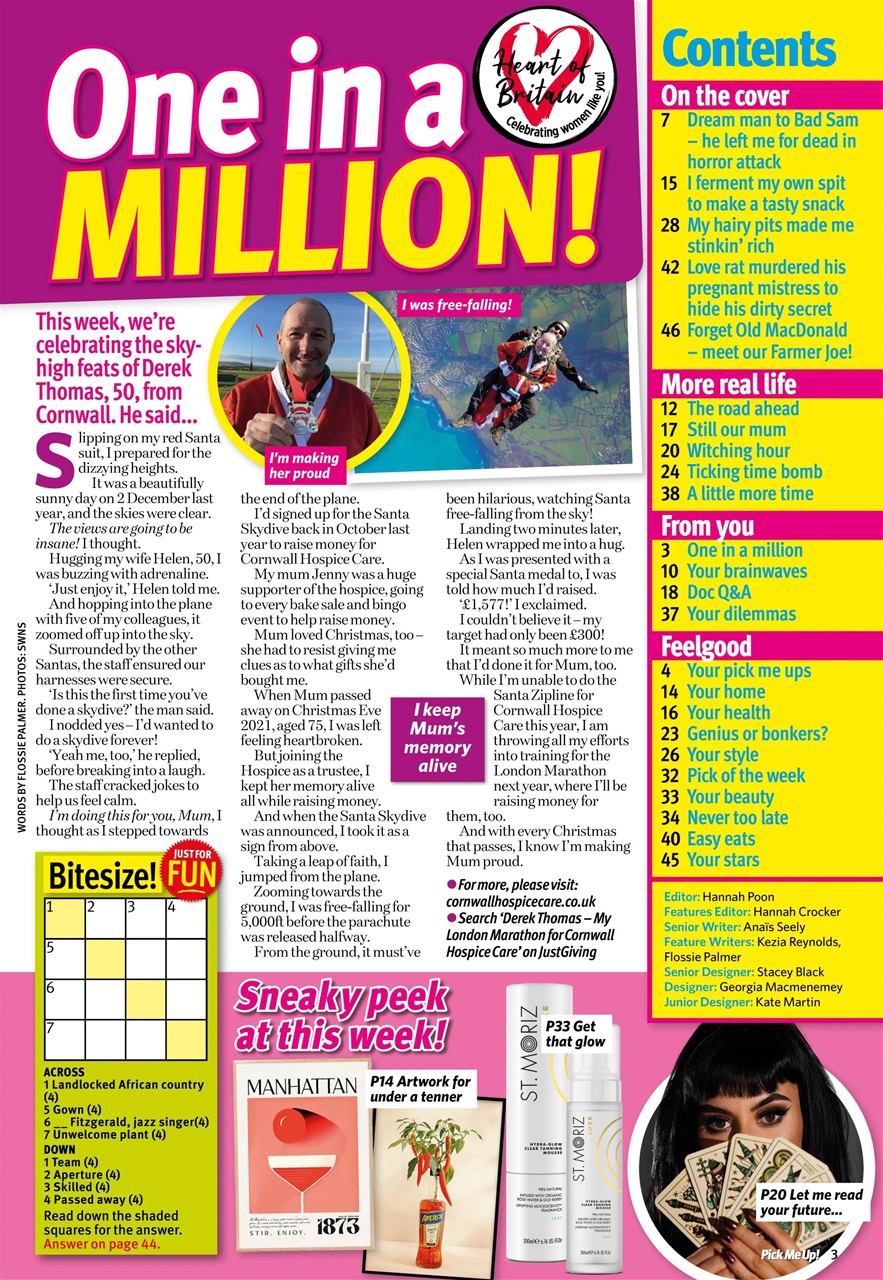 Pick Me Up Preview Pages