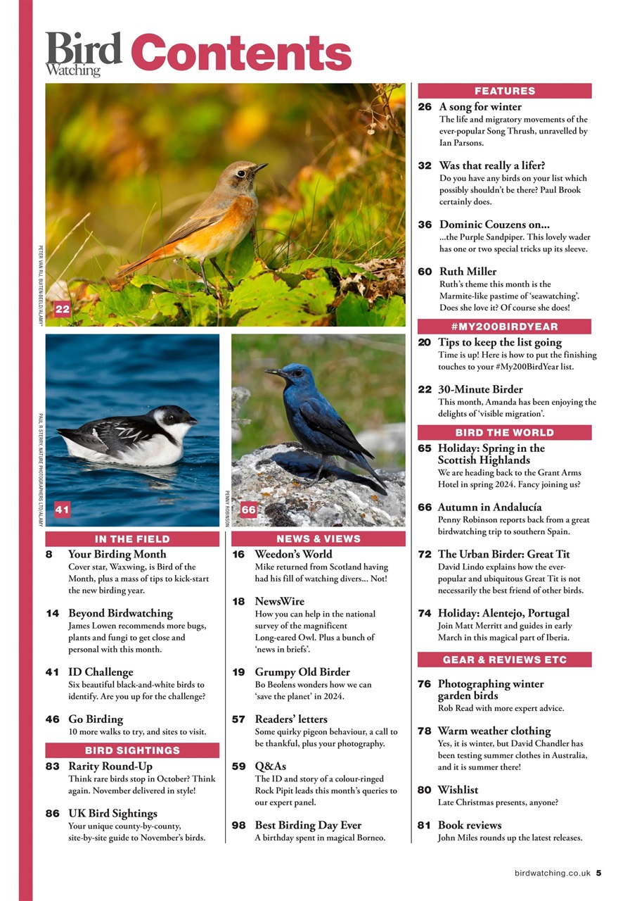 Bird Watching Preview Pages