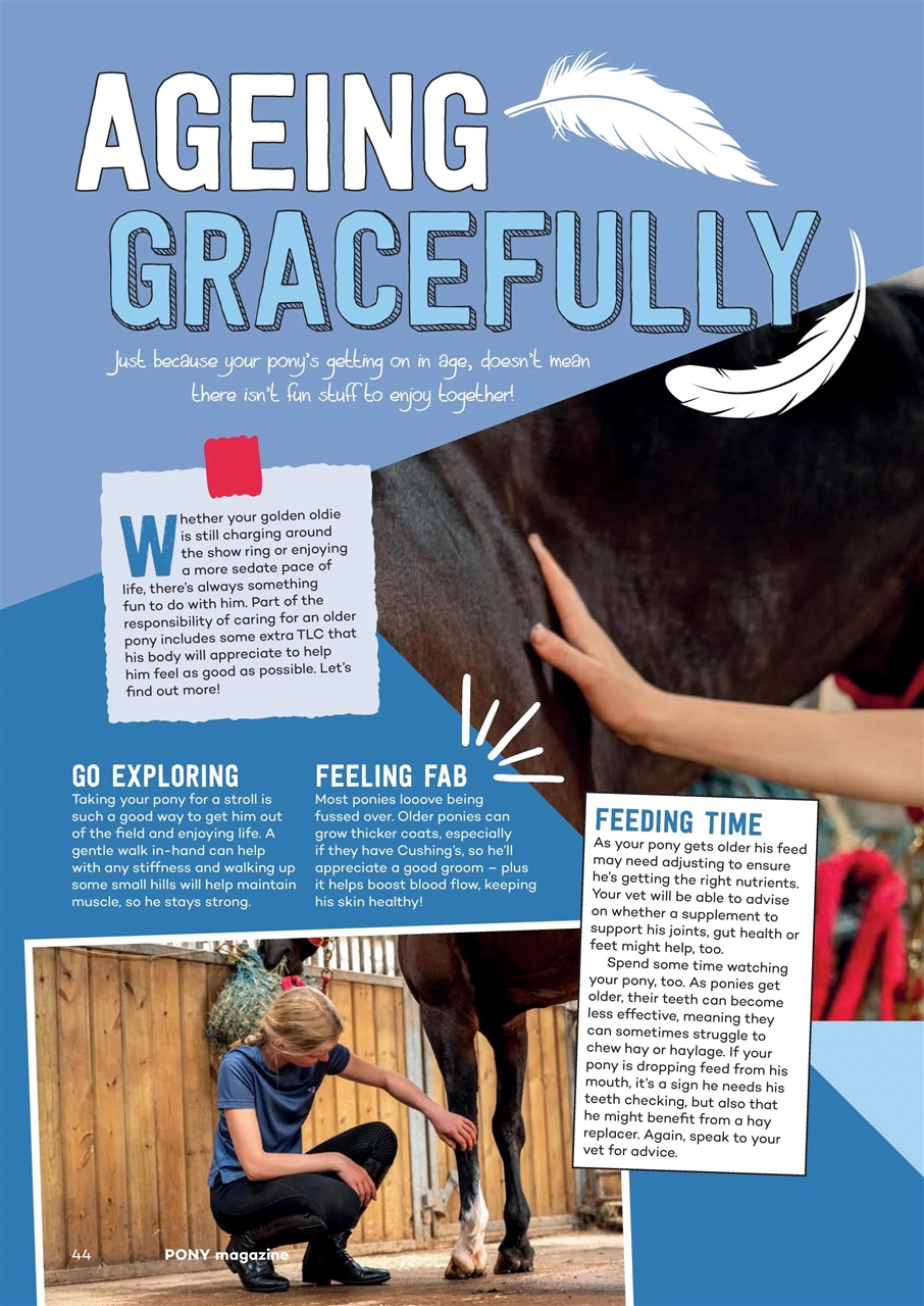 Pony Magazine Preview Pages