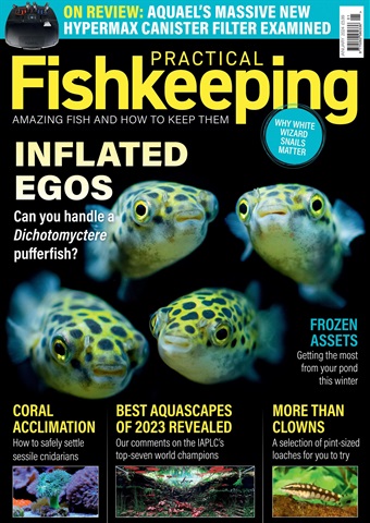 Practical Fishkeeping issue January 2024