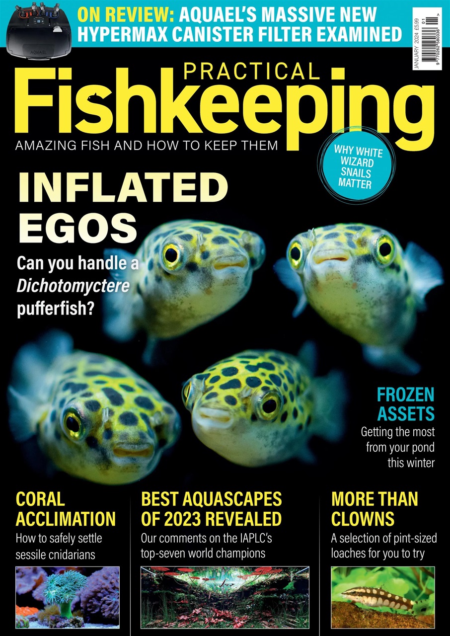 Practical Fishkeeping Preview Pages