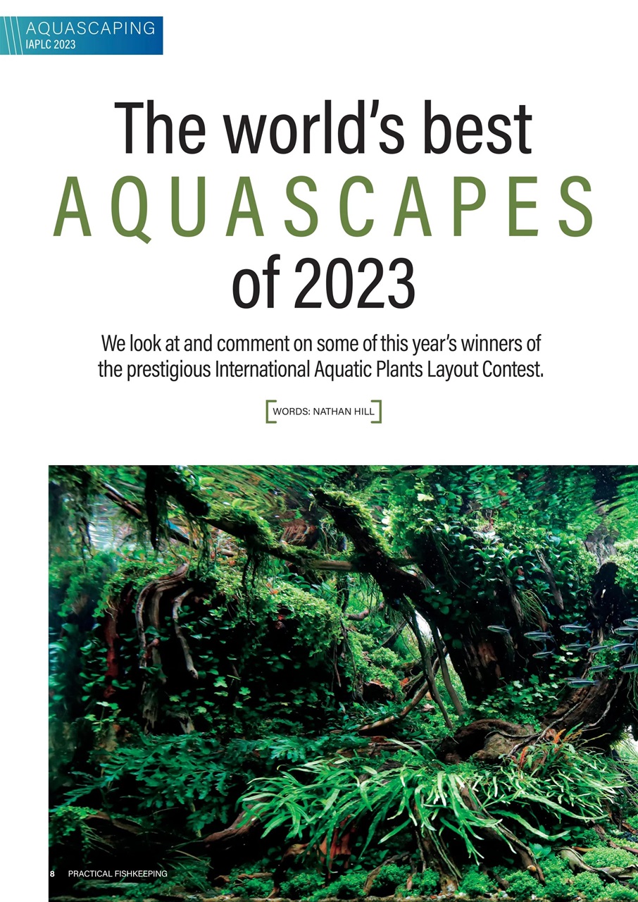 Practical Fishkeeping Preview Pages