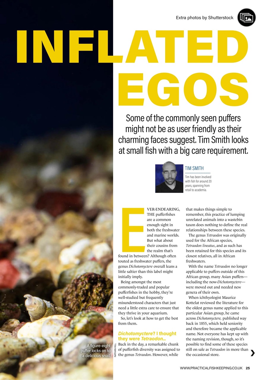 Practical Fishkeeping Preview Pages