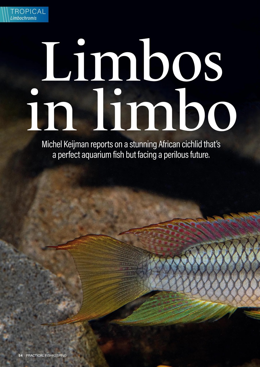 Practical Fishkeeping Preview Pages