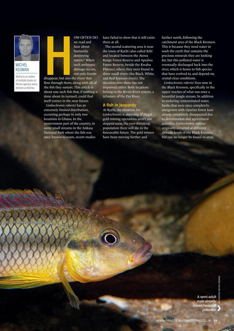 Practical Fishkeeping Preview Pages