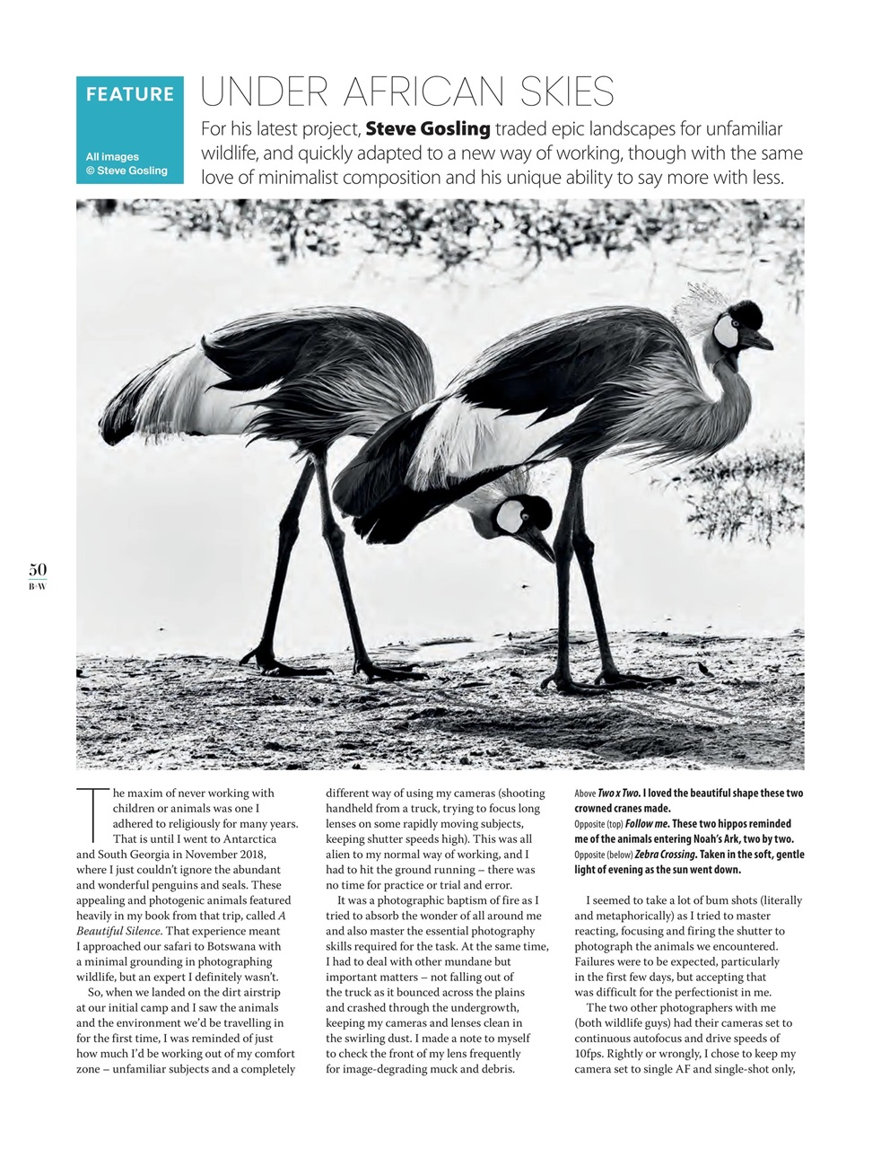 Black+White Photography Preview Pages