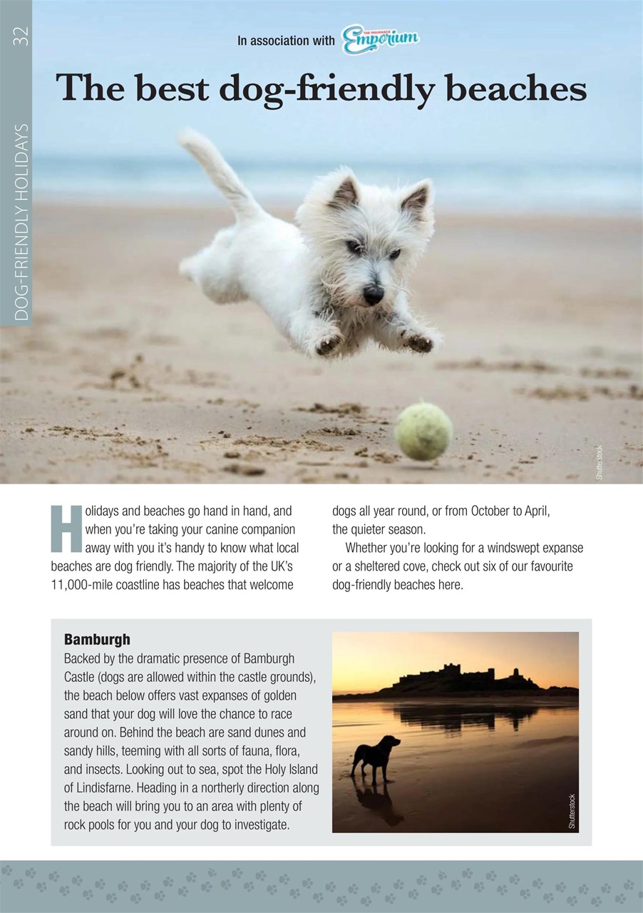 Camping Preview Pages