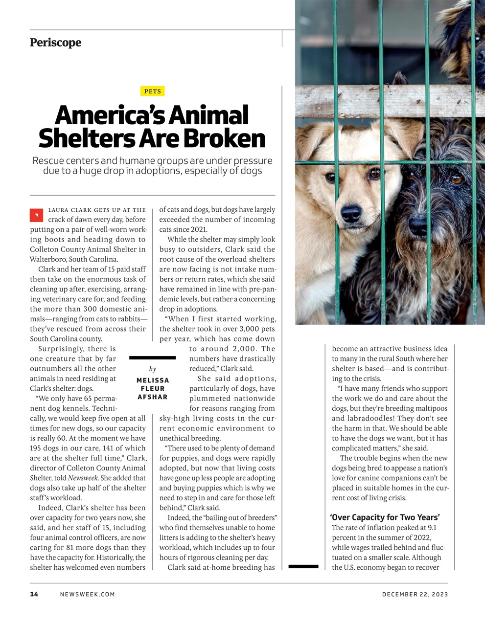 Newsweek International Preview Pages