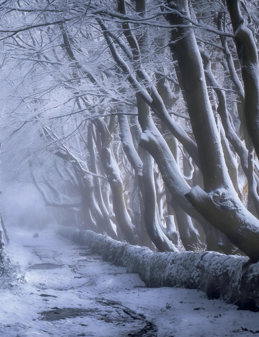 Outdoor Photography Preview Pages