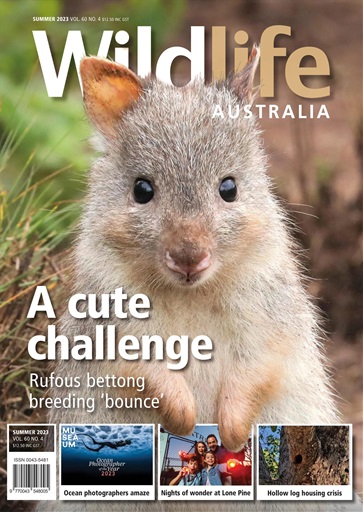 Wildlife Australia issue 