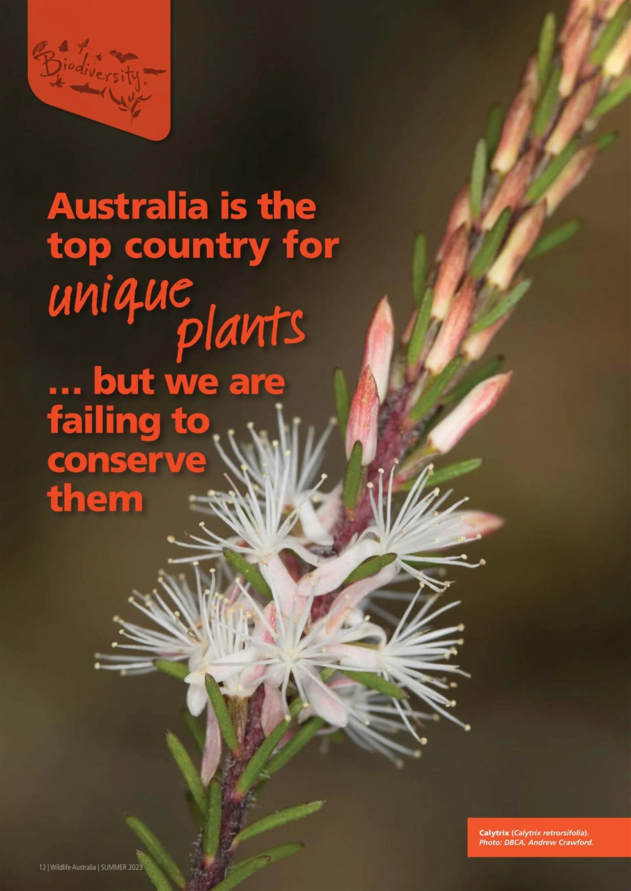 Wildlife Australia Preview Pages