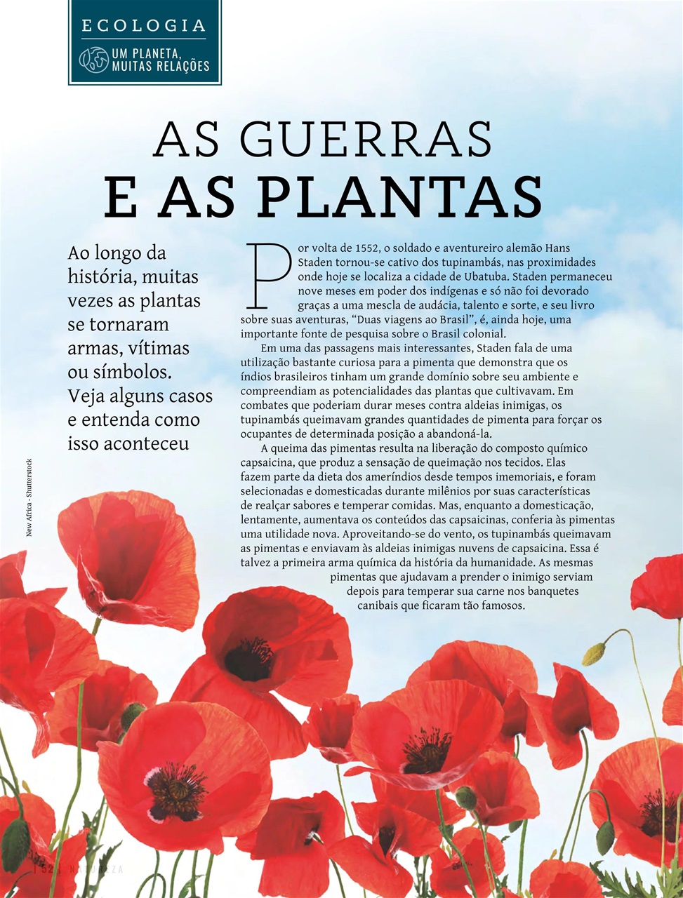 Natureza Preview Pages