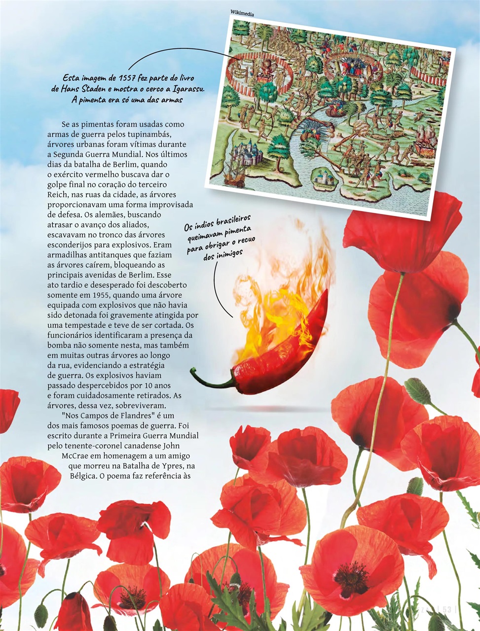 Natureza Preview Pages