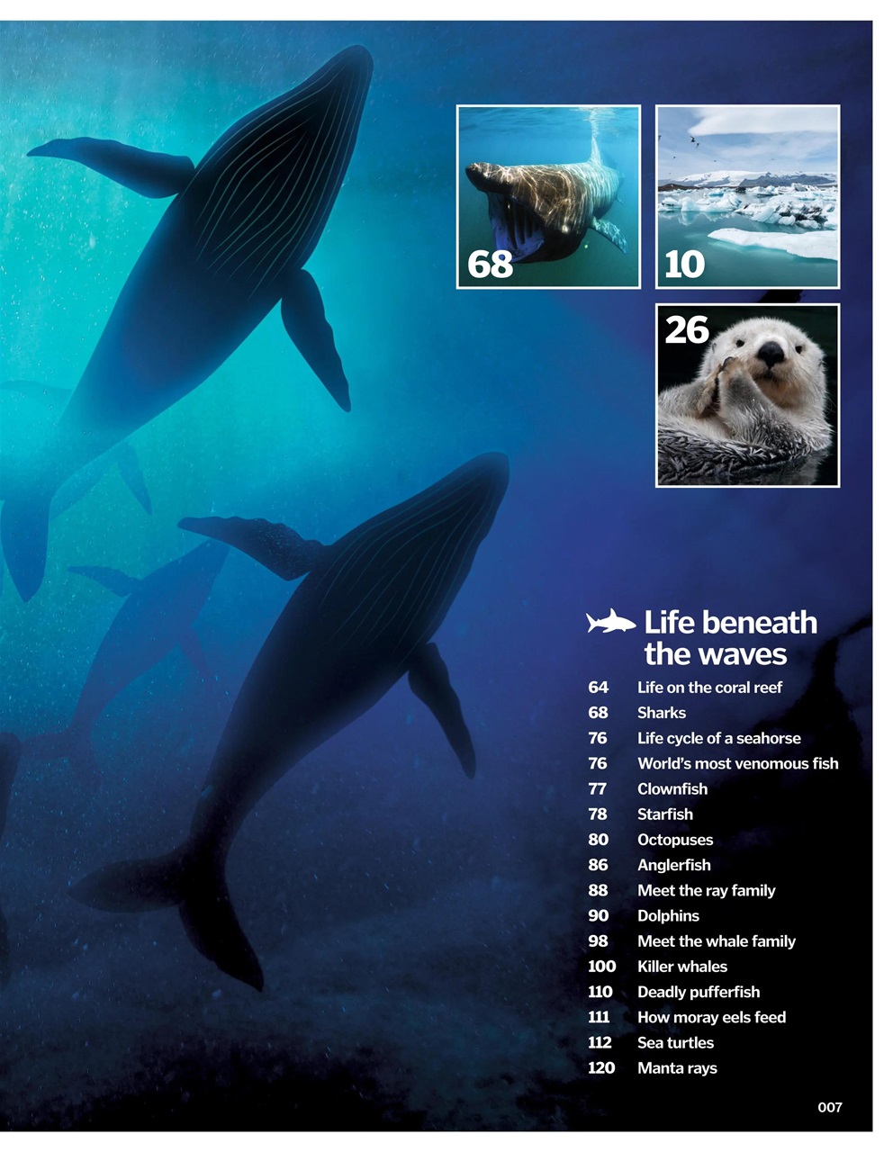 How It Works Bookazine Preview Pages