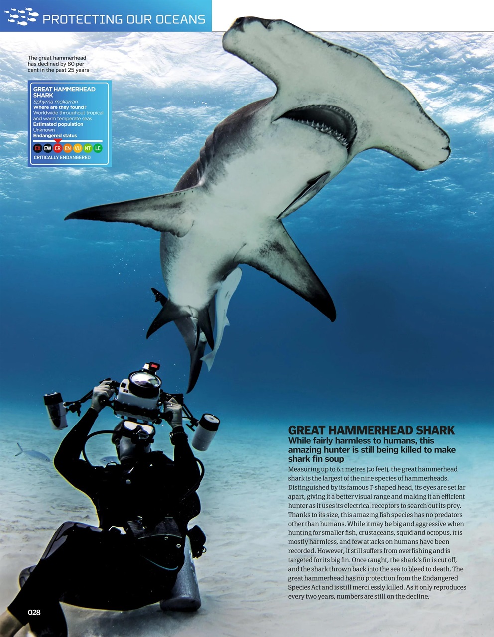 How It Works Bookazine Preview Pages