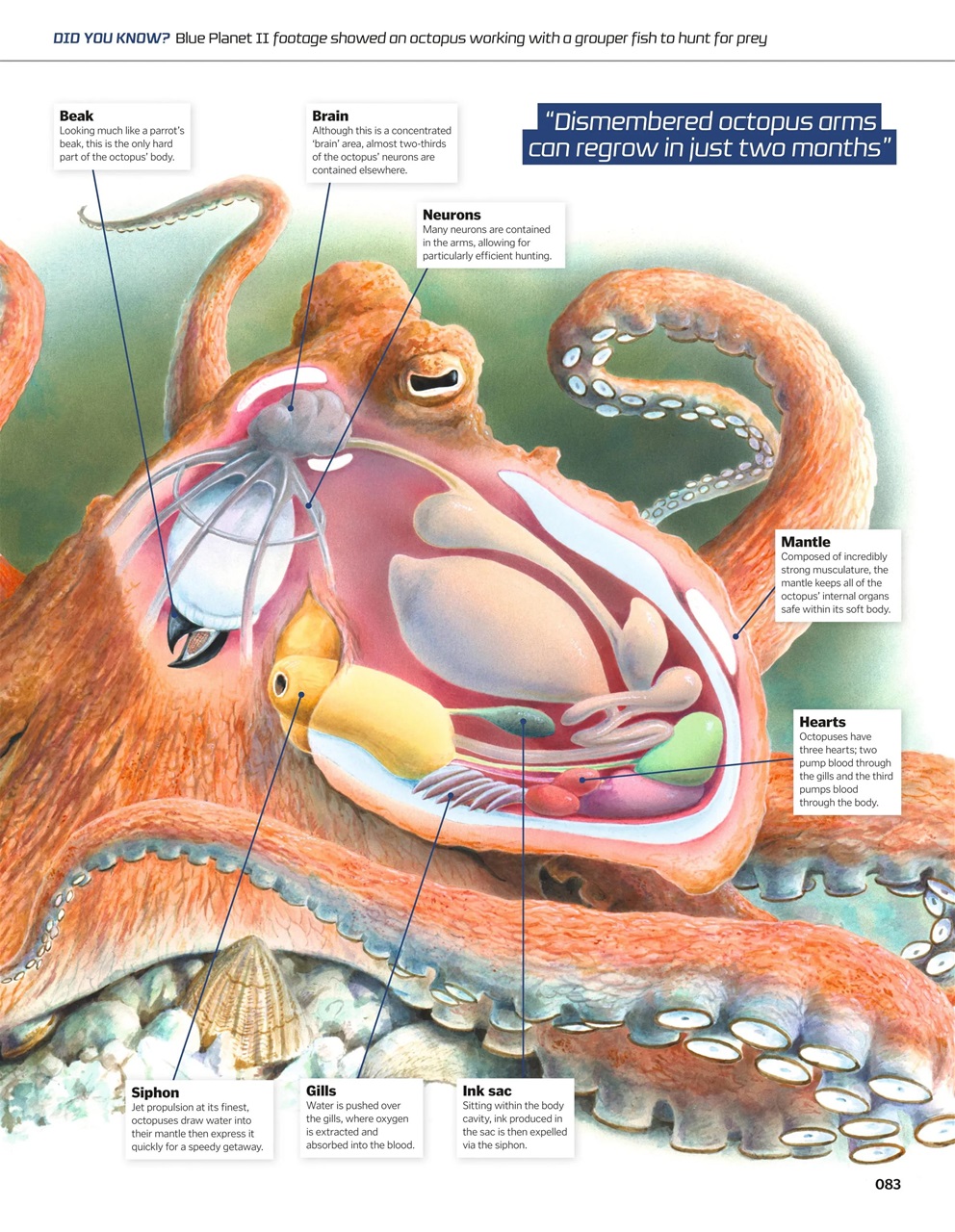 How It Works Bookazine Preview Pages