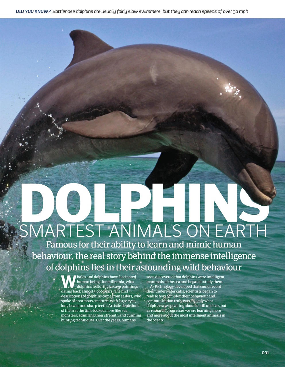 How It Works Bookazine Preview Pages