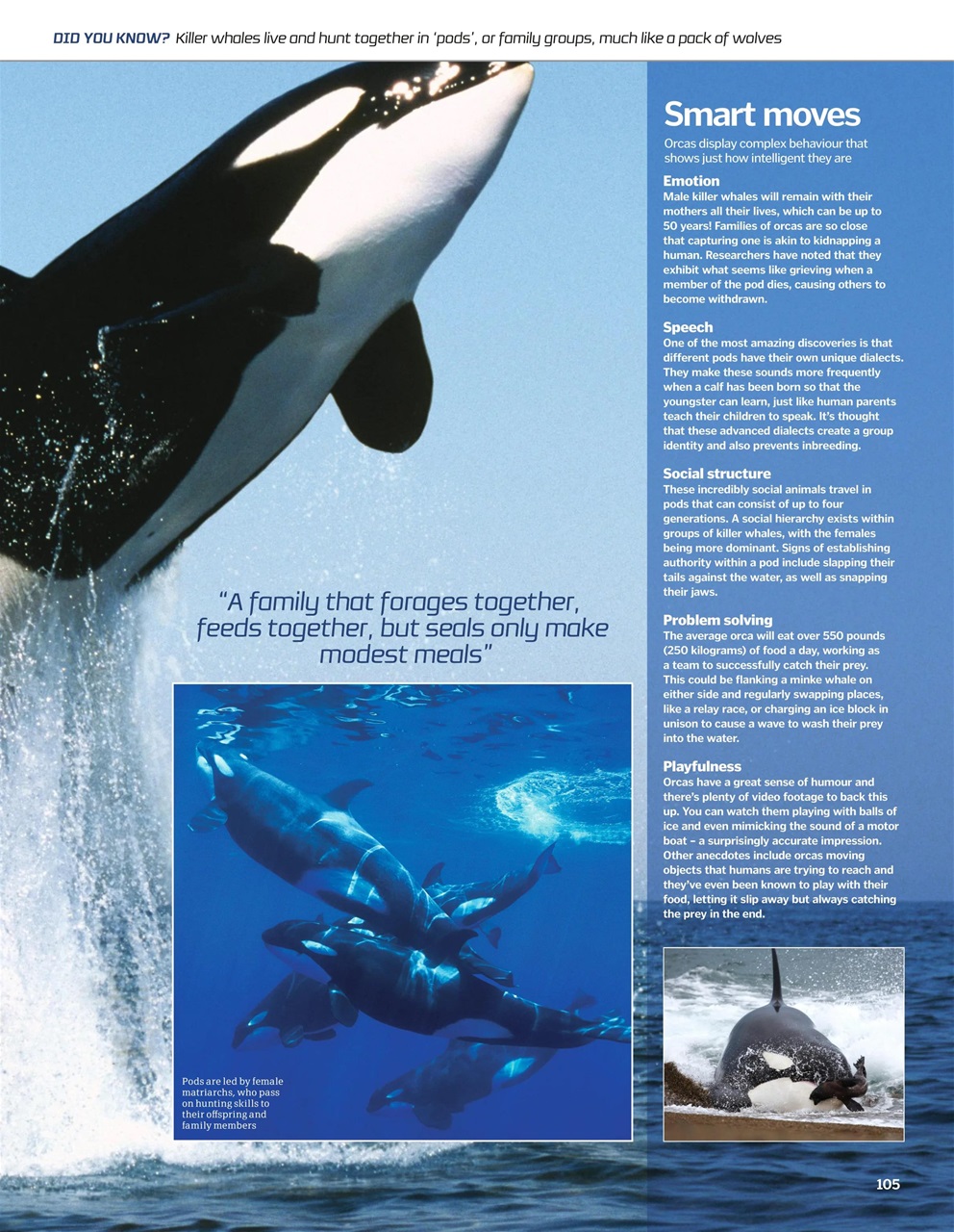 How It Works Bookazine Preview Pages