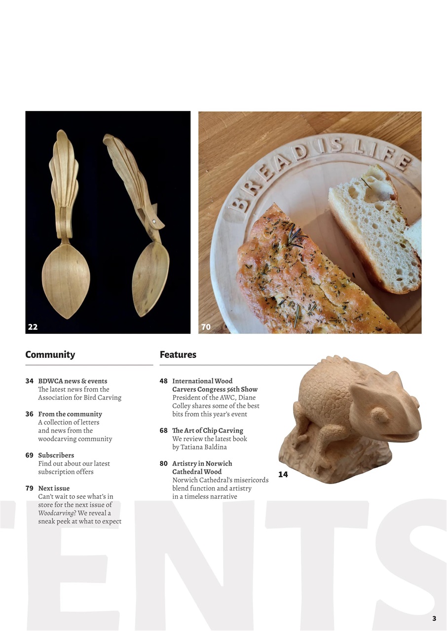 Woodcarving Preview Pages