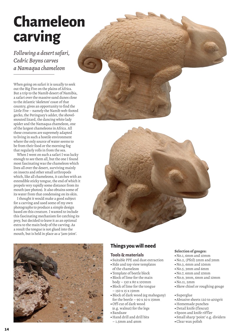 Woodcarving Preview Pages