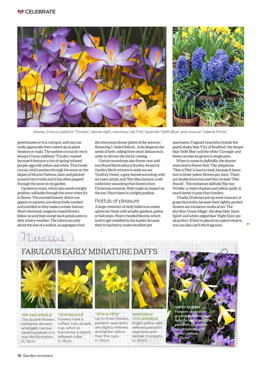 Garden Answers Preview Pages