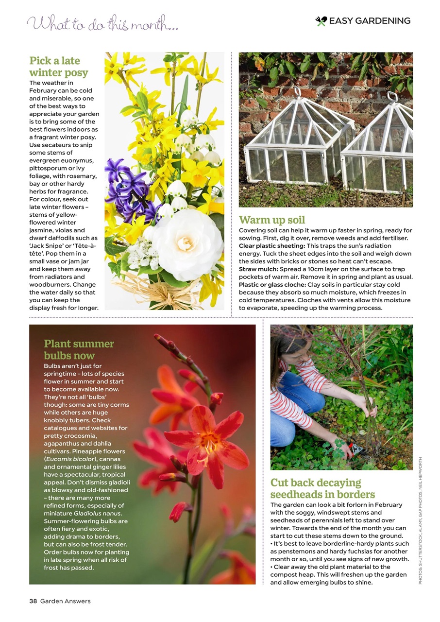 Garden Answers Preview Pages