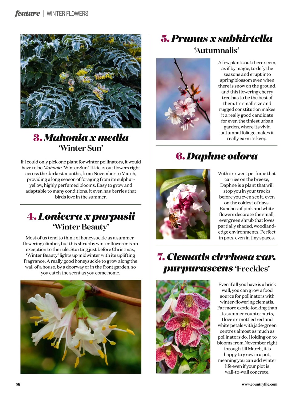 BBC Countryfile Magazine Preview Pages