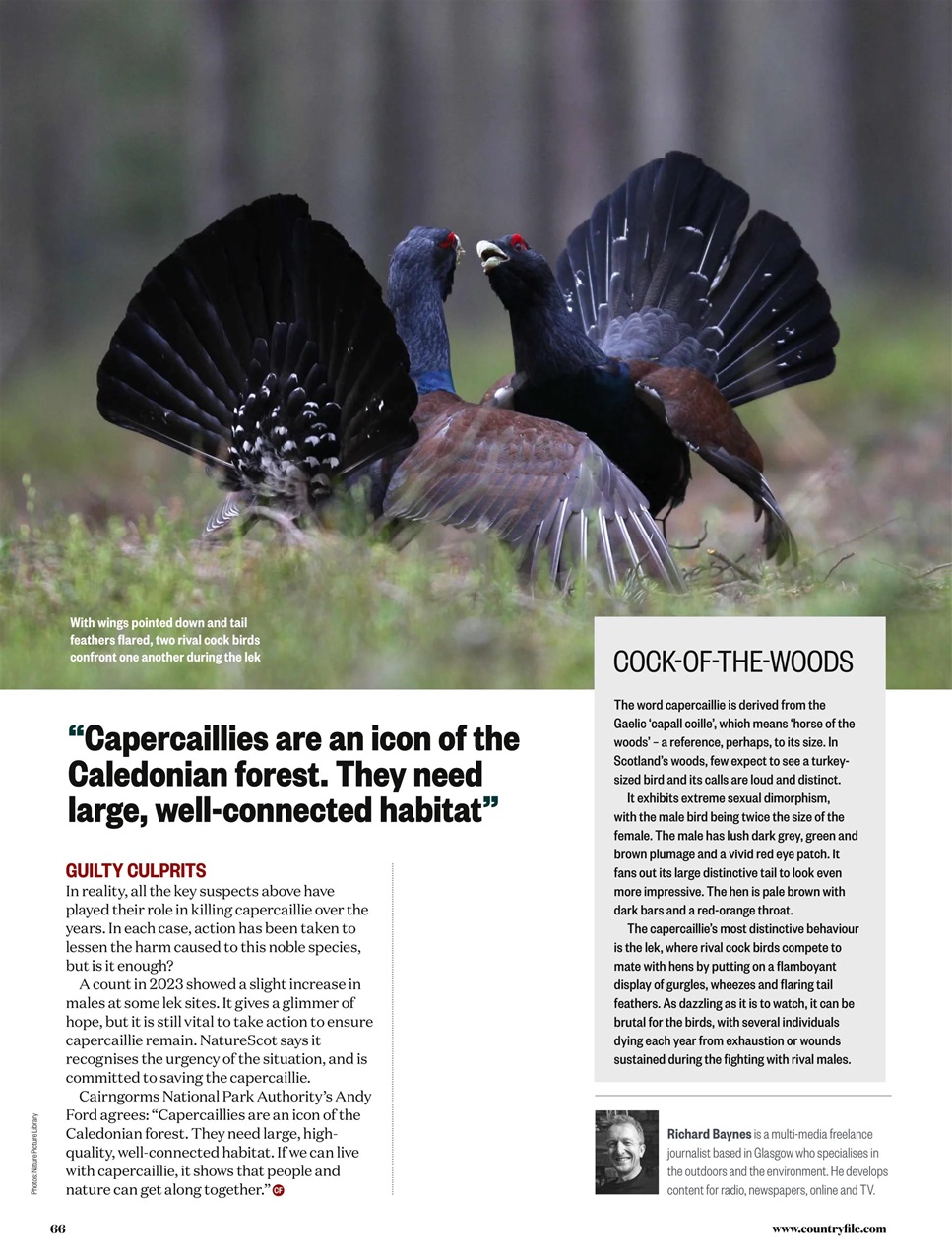 BBC Countryfile Magazine Preview Pages