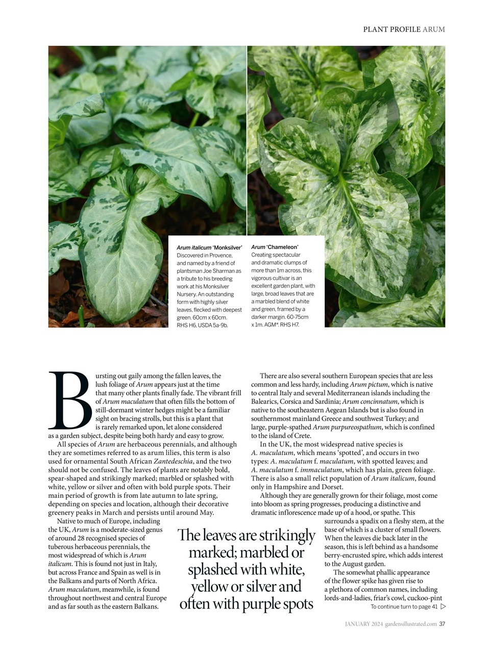 Gardens Illustrated Preview Pages