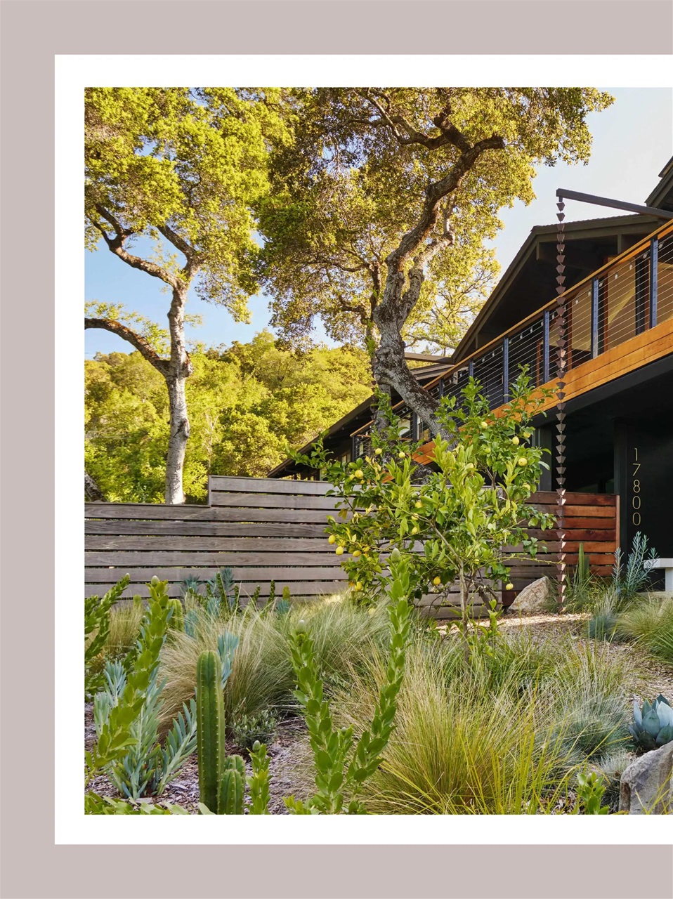 Gardens Illustrated Preview Pages