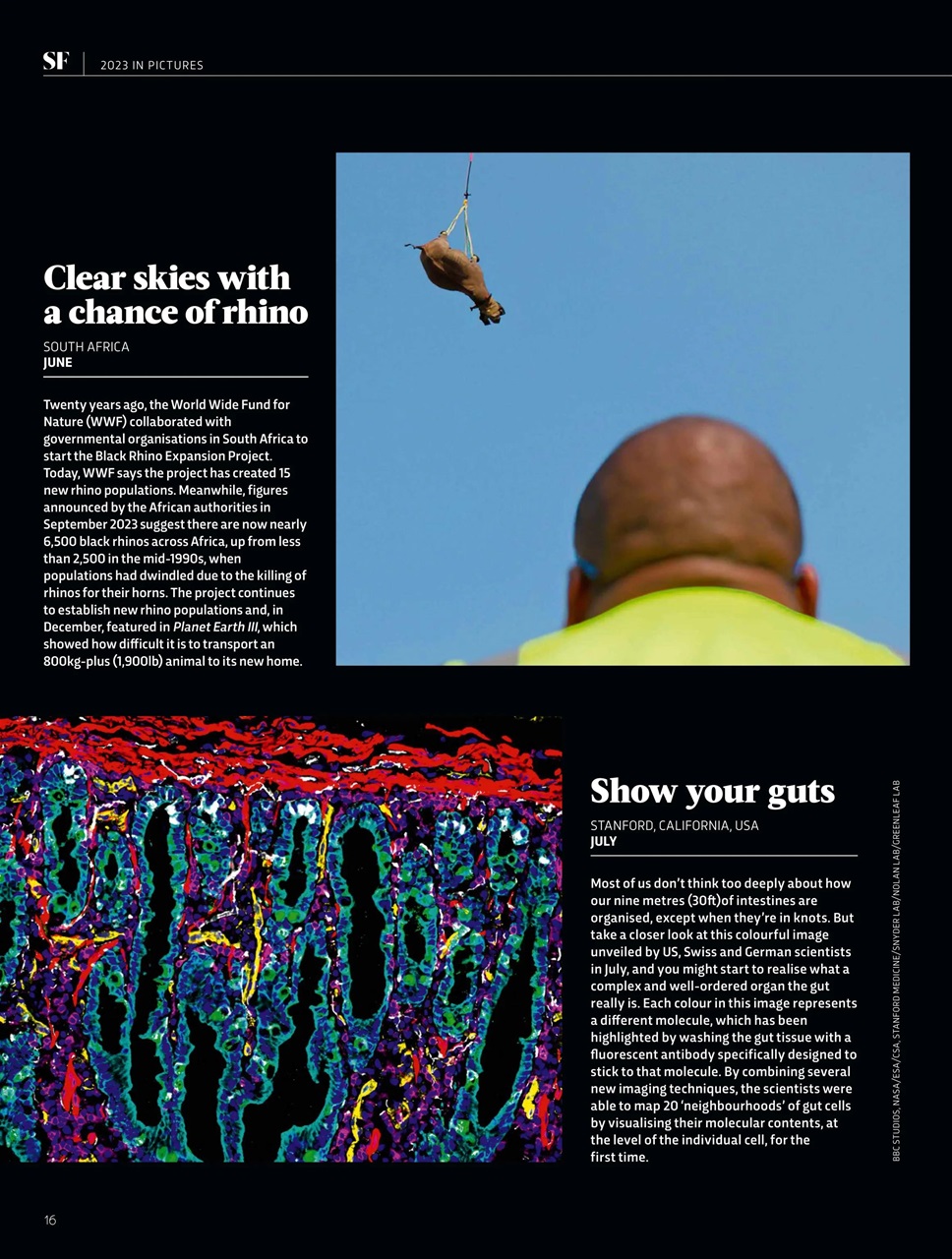 BBC Science Focus Magazine Preview Pages