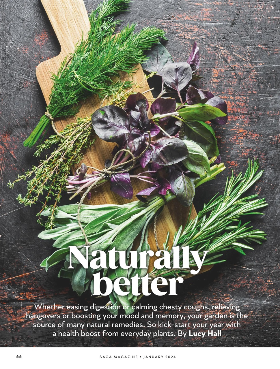 Saga Magazine Preview Pages