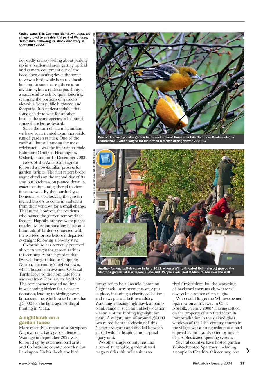 Birdwatch Magazine Preview Pages