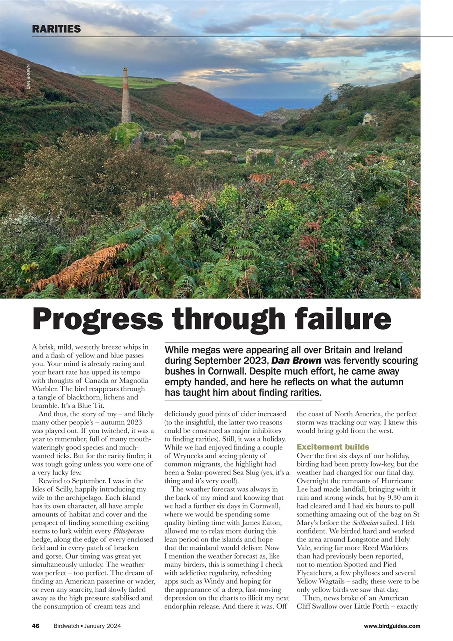 Birdwatch Magazine Preview Pages